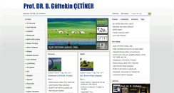 Desktop Screenshot of drcetiner.org
