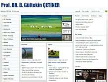 Tablet Screenshot of drcetiner.org